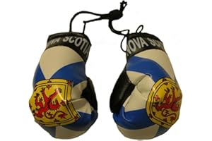 NOVA SCOTIA Flag Mini BOXING GLOVES. New
