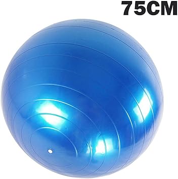 gym ball shop near me