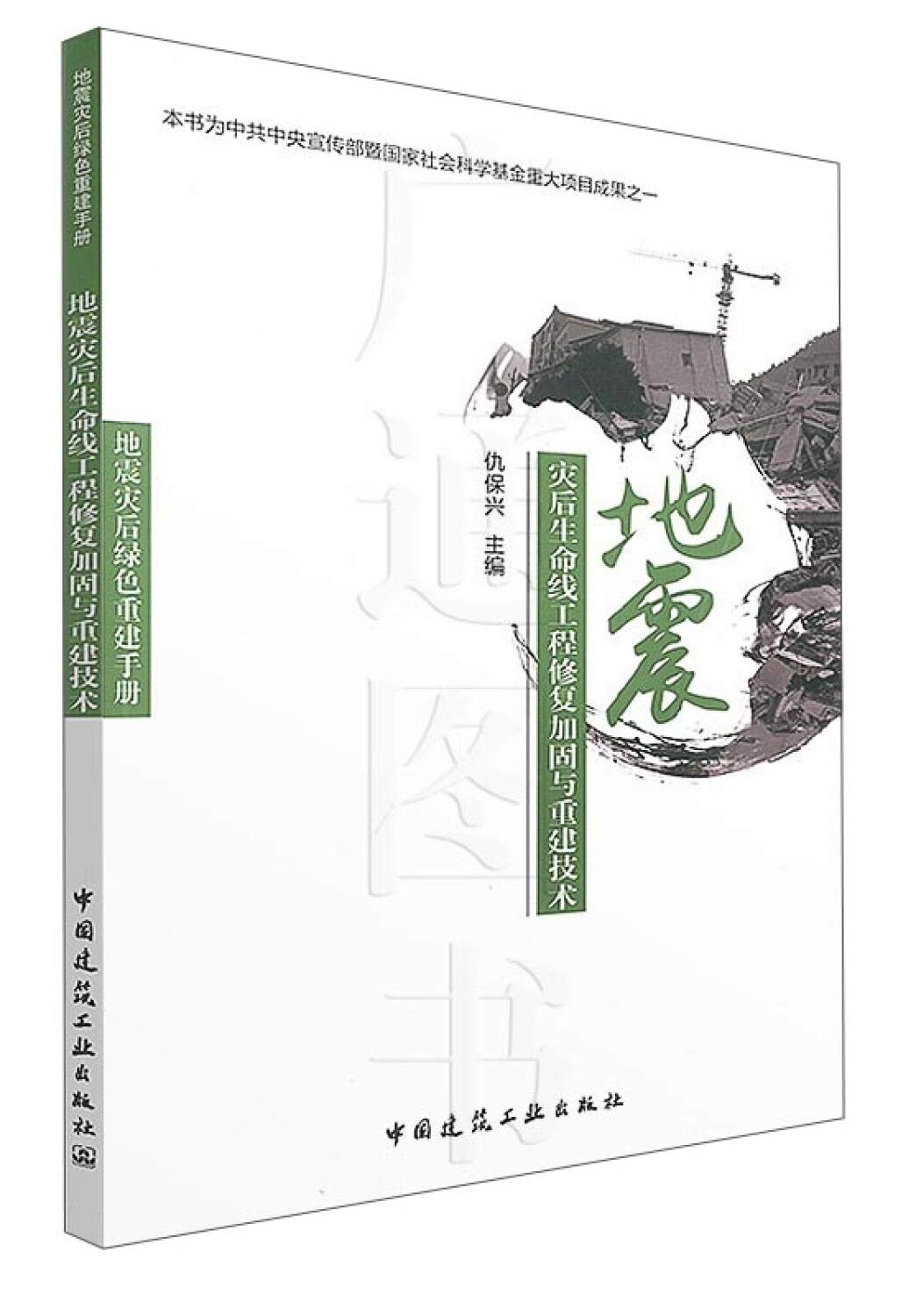 地震灾后生命线工程修复加固与重建技术 地震灾后绿色重建手册 仇保兴 Amazon Com Books