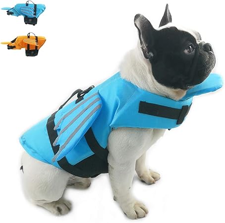 pug life jacket swimming