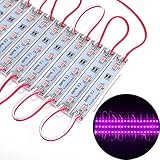 ChiChinLighting 100 Pieces (20 pcs x 5 Packs) - 12 Volt LED Module - SMD LED Chip - Super Bright - IP65 Waterproof (Purple)