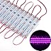 ChiChinLighting® Purple 100pcs (20pcs x 5packs) Samsung 5630 SMD 3p LED Module Waterproof Super Bright LED Modules Sign LED Light 12V Purple LED Strips