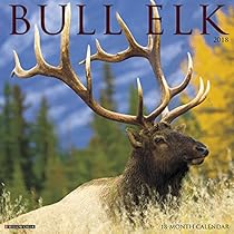 Bull Elk 2018 Wall Calendar Bull Elk 2018 Wall Calendar