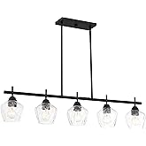 Minka Lavery 2174-66A Camrin Island Chandelier, 5-Light, 300 Total Watts, 5.5-in H x 8.5-in W, Coal Black