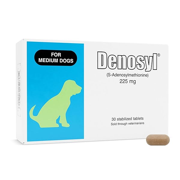 NUTRAMAX LABORATORIES DENOSYL FOR DOGS, LIVER AND BRAIN HEALTH SUPPLEMENT FOR MEDIUM DOGS, WITH S-ADENOSYLMETHIONINE (SAME), STABILIZED TABLETS, 30 COUNT