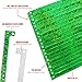 100 WristCo Holographic Green VIP Plastic Wristbands - Wristbands for Events