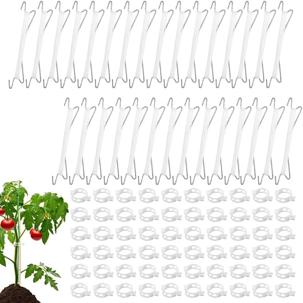 HIQE-FL Pack of 30 Tomato Hooks Metal with 30 Plant Buckles and 10 m Rope, Tomato Plant Holder, Garden Clips, Tomato Support Hooks, Suitable for Fixing Plants (B)