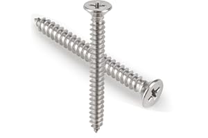 100 PCS #8X2 Stainless Steel Phillips Flat Head Wood Screws,Stainless Steel 18-8 A2(304) Screw,Home Screw Kit by QISHENG