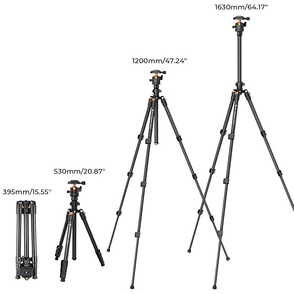 K&F CONCEPT 64 INCH/163 CM CAMERA TRIPOD,LIGHTWEIGHT TRAVEL OUTDOOR DSLR TRIPODS WITH 360 DEGREE BALL HEAD LOAD CAPACITY 17.6 LBS/8 KG,CELLPHONE CLIP FOR SMARTPHONE LIVE STREAMING VLOG O234A1+BH-36