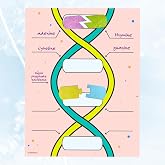 Roylco DNA Builder &ndash; Back to School Interactive DNA Model Kit for Kids, Hands-On STEM Activity for Classrooms, Science Centers &amp; Homeschool Learning