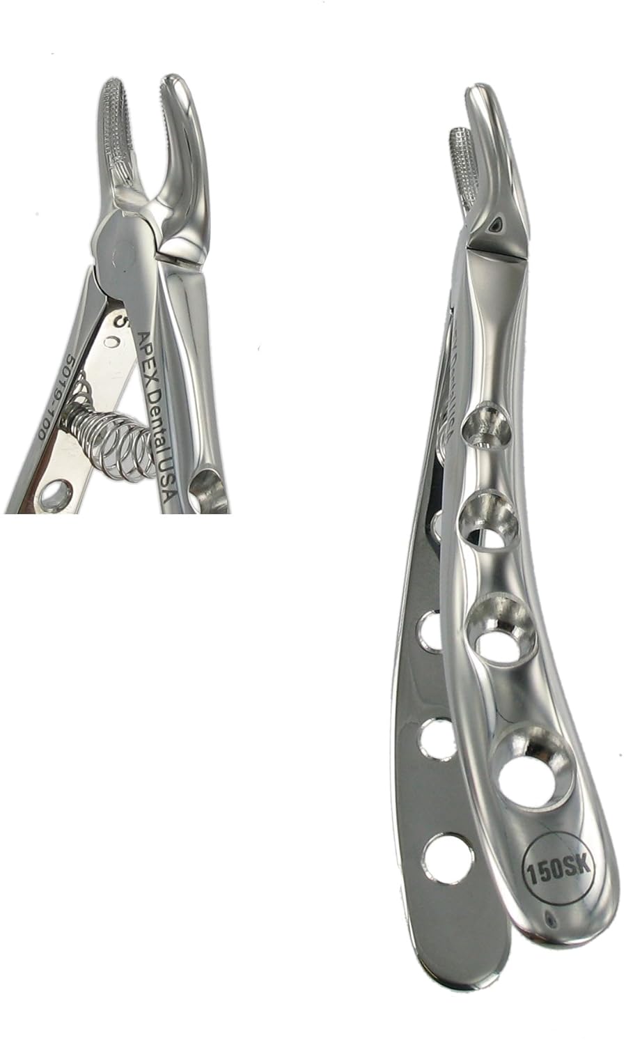 Dental USA 5019 Baby Forceps B150 SK Upper Universal