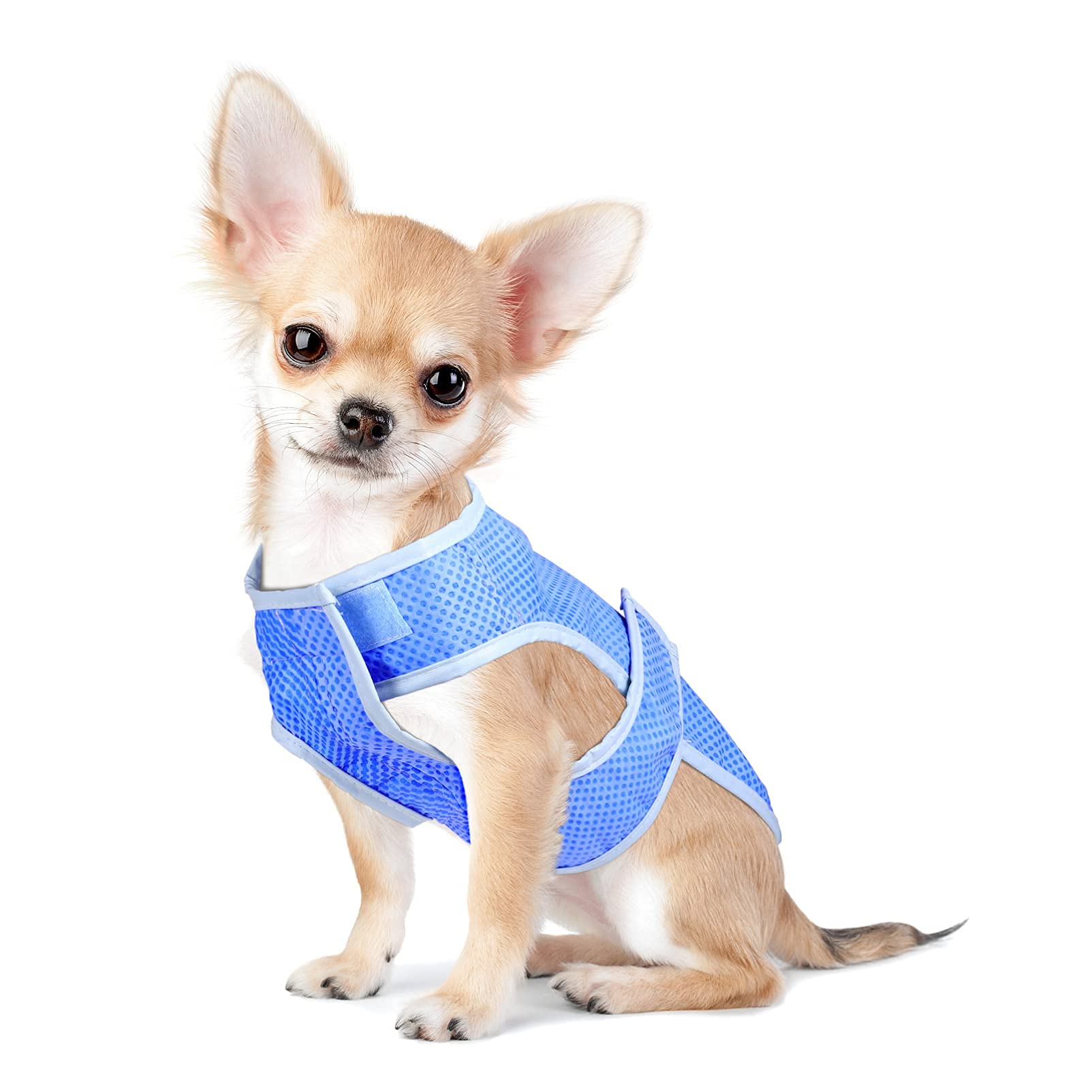 POPETPOP Dog Cooling Vest, Lightweight Cooler Jacket, Pet Vest Harness for for Small Medium Dogs(Size)