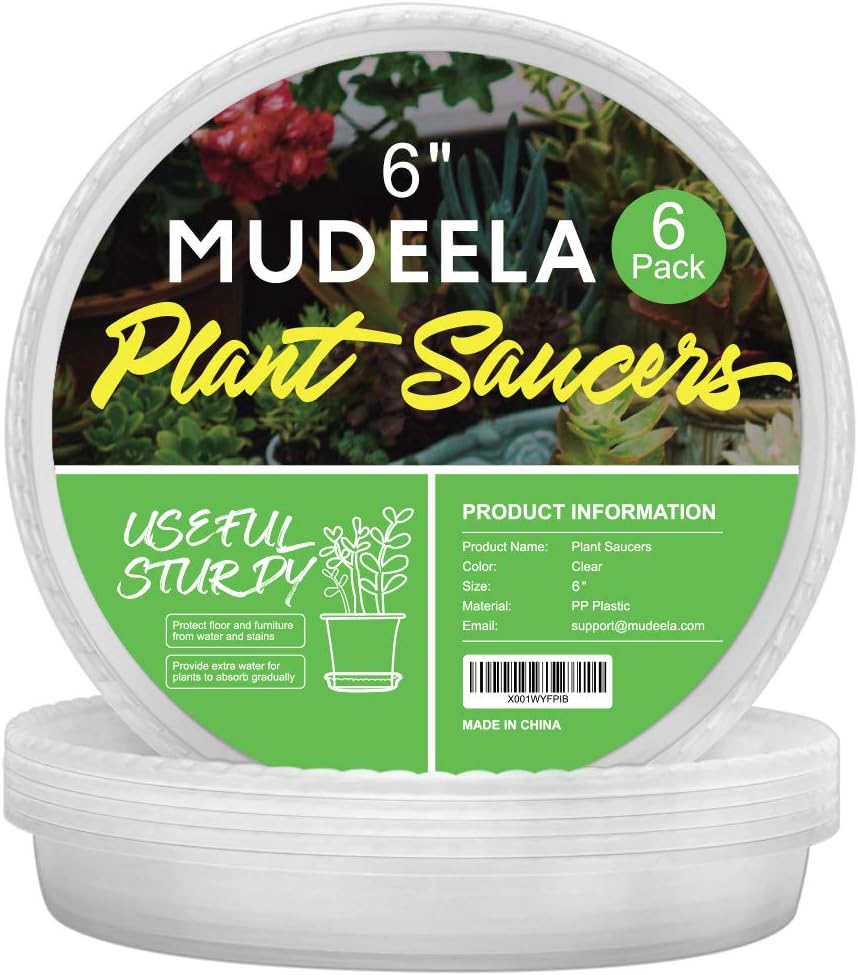 MUDEELA 6 Pack of 12 inch Plant Saucer, Durable Plastic Plant Trays for Indoors, Clear Plastic Flower Plant Pot Saucer, Made of Thicker, Stronger Plastic, with Taller Design : Garden & Outdoor