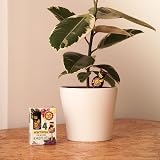 Baby Bio Houseplant Drip Feeders 4x40ml Ready To Use Fertiliser view 4