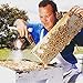 Tasmanian Honey Company Tasmanian | Christmas Bush | 350g | Unfiltered | Raw | Unheated | Hand-Crafted | Product of Australia | Iconic Metal Can |