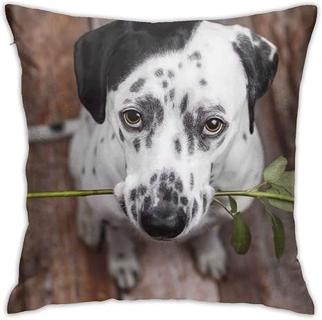 Amazon 犬 赤いバラ 抱き枕カバー クッションカバー 枕かばー ピローケース45 45cm 枕カバー おしゃれ のびのび枕カバー タオル地 吸湿速乾 防ダニ 枕カバー ピローケース オンライン通販