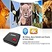 Edal A1 1G/8G WIFI Bluetooth Android 6.0 smart TV box with Amlogic S905X Quad core Cortex A53 2.0GHz 64bit