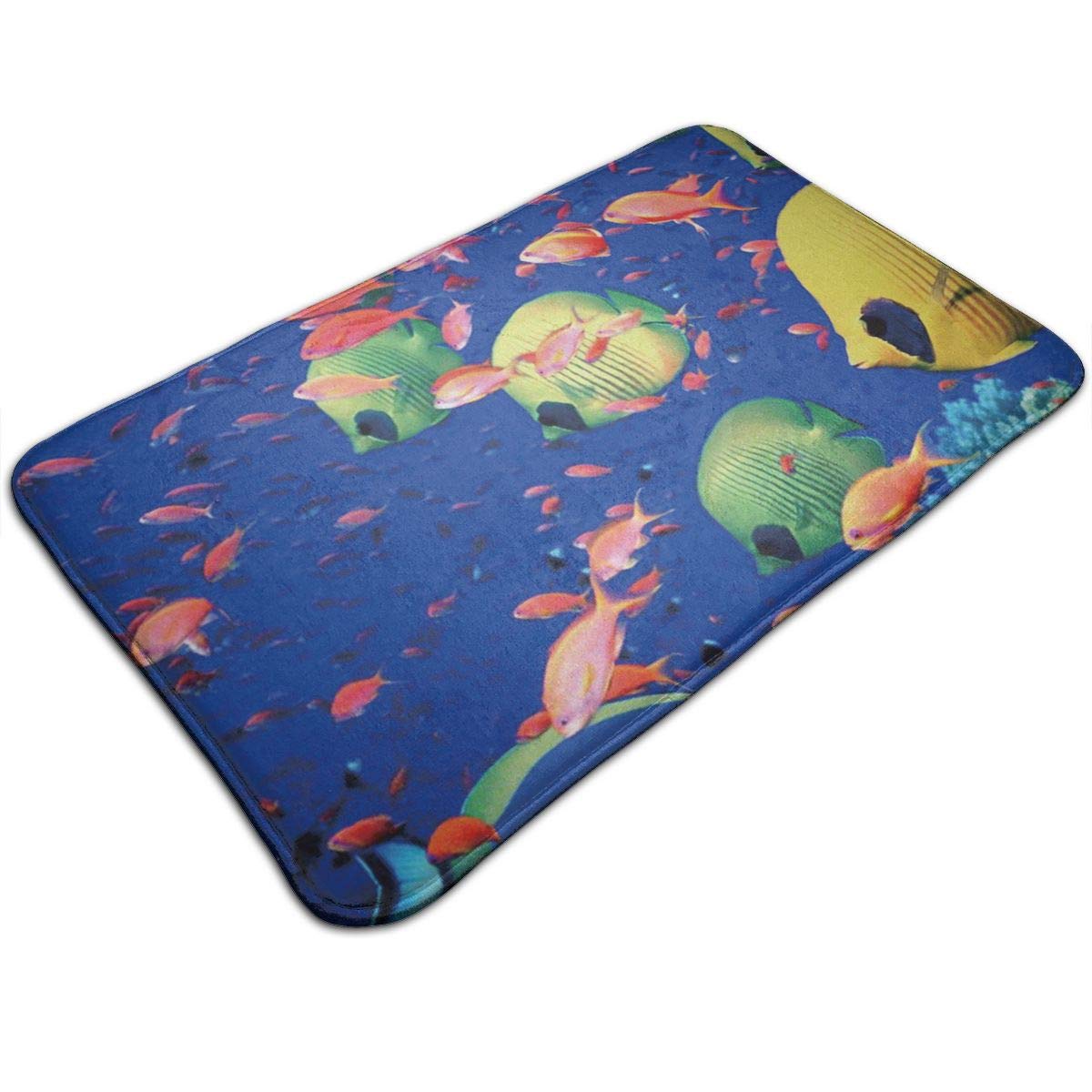 Best carpet alarm clock buy Kitchen Smarter