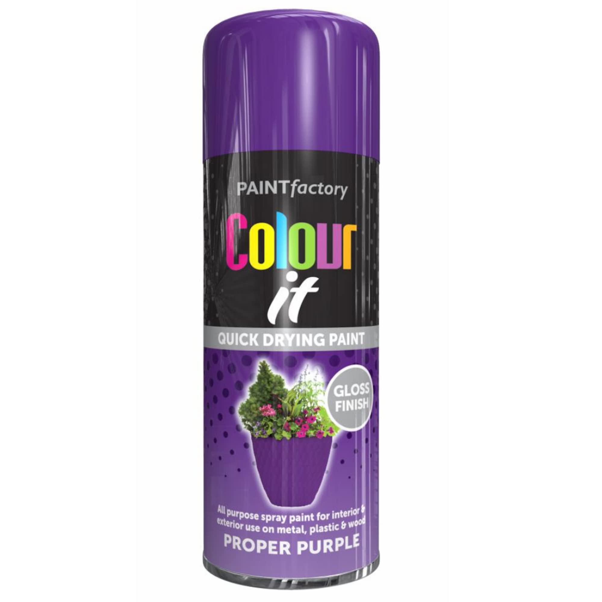 Purple Gloss Interior & Exterior Spray Paint 250ml