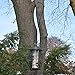 Metal Tree Branch Hook, 23 Inch Long, Black, 2-Pack, Premium Extra Thick 1/5 Inch Diameter Rust Resistant Steel S-Hooks For Bird Feeders and Baths and More - Outdoor or Indoor Use