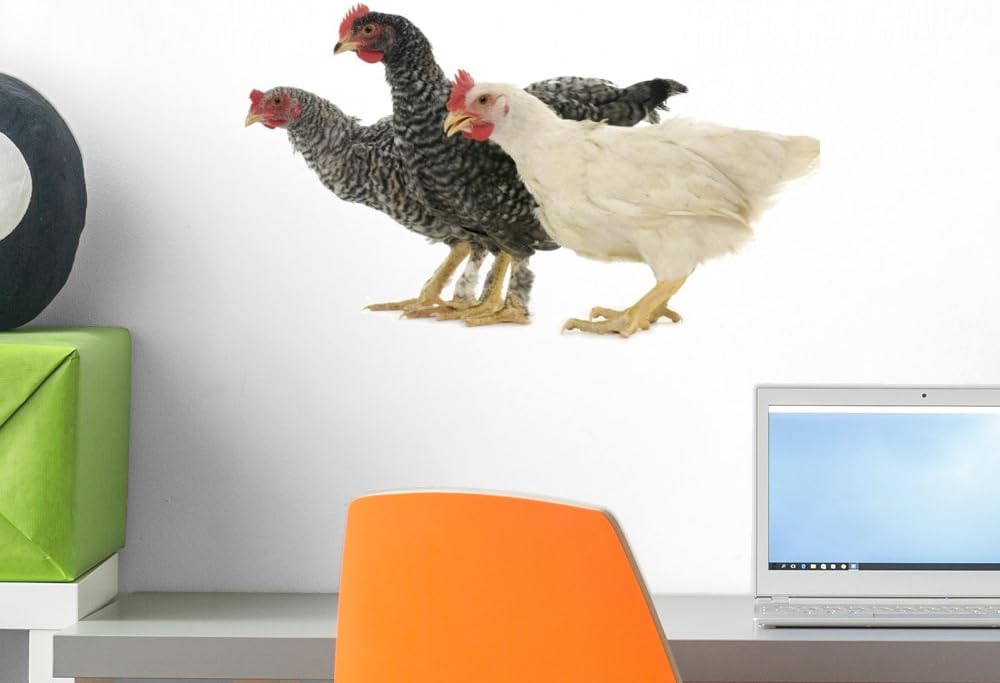 Amazon.com: Wallmonkeys WM284203 Chicken Friends Peel and Stick Wall