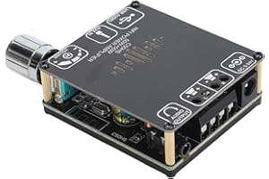 LAISANIM TPA3116D2 Amplifier Board, 50Wx2 HiFi Dual Channel Audio Power Amp Board with Bluetooth 5.0, AUX, USB Input for Spea