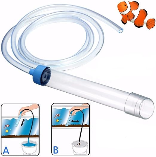 inside guinea pig hutch