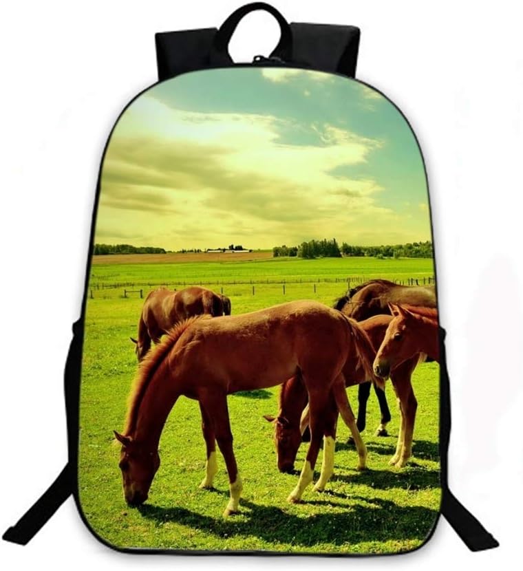 fye bookbags