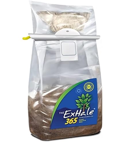 Amazon.com : Exhale Homegrown CO2 XL - CO2 Bag for Indoor Grow