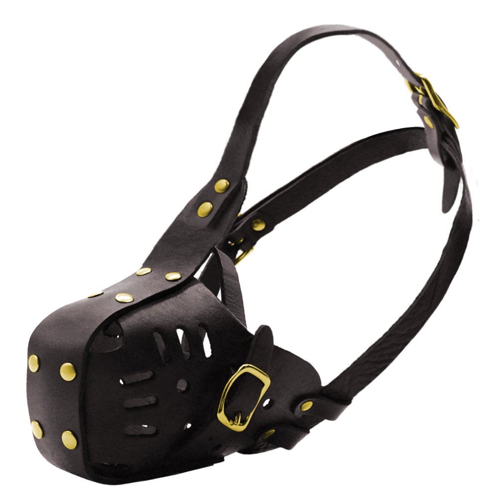 PET ARTIST Genuine Leather Dog Muzzle Adjustable for Medium and Big Dog