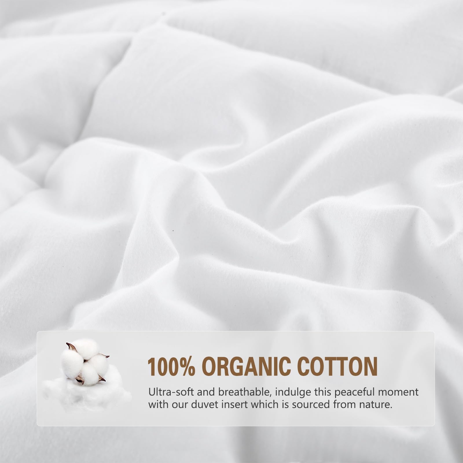 DWR Premium Heavyweight Feathers Down Comforter