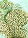 ORGANIC Colombia Washed Unroasted Green Coffee Beans Fair Trade FTO (5 LB)