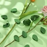 Cerolopy 30 Pcs Plant Climbing Wall Clips with Adhesive Green Leaf Shaped view 6