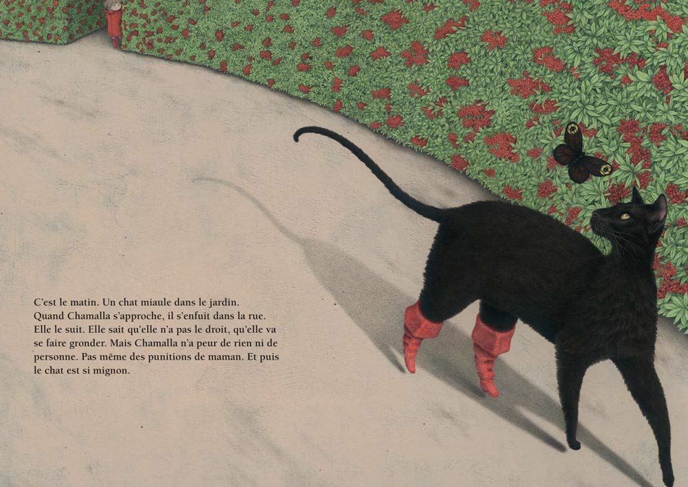 Chamalla C Burneau A Bravo Amazon Com Books