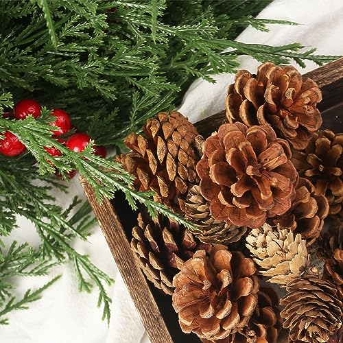 JOHOUSE 30PCS Christmas Pine Cones, Natural Pinecones for Crafts Assortment Rustic Pine Cones for Decorating Christmas Winter Holidays Table Bowl Fillers