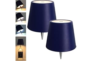 Mebaraul 2 Pack 3600mAh Wine Bottle Lamps, 2025 New 3 Color Rechargeable Wireless Bottle Lamps, Bottle Lamp Kit for Liquor Bottles with Touch Dimming for Parties, Restaurants & Home Decor