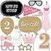 Big Dot of Happiness Two Much Fun - Girl 2nd Birthday Party Photo Booth Props Kit 20 Count