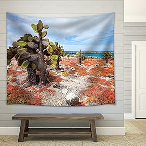 Beautiful Landscape of Galapagos South Plaza Island - Fabric Wall Tapestry Home Decor - 51x60 inches