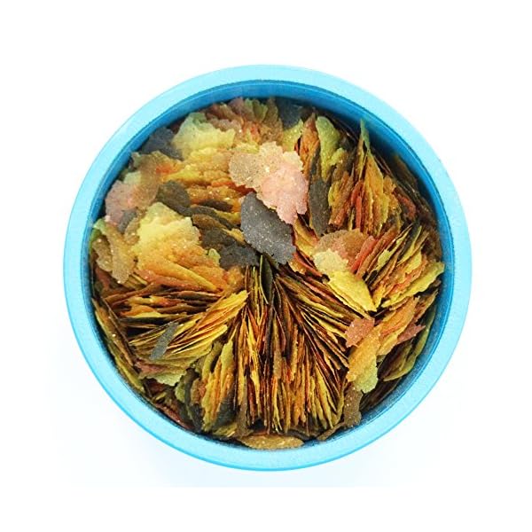 AQUARIAN Complete Nutrition, Aquarium Tropical & Temperate Fish Food Flakes, 50g Container