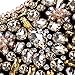 Brown Crystal Rhinestone Statement Necklace, Blown Chunky Collar Choker Bib Pendant Statement Necklace Fashion Necklace Jewelry for Women…