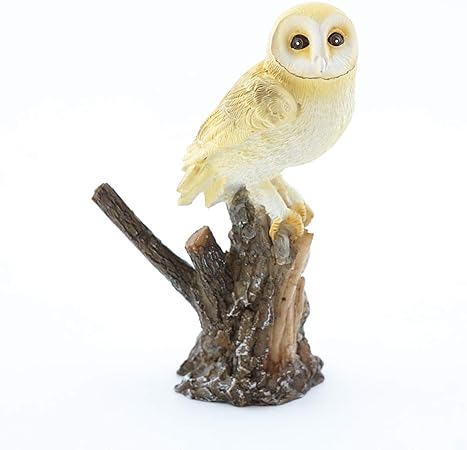 Amazon Com Topland Trading Top Collection Barn Owl On Tree Trunk