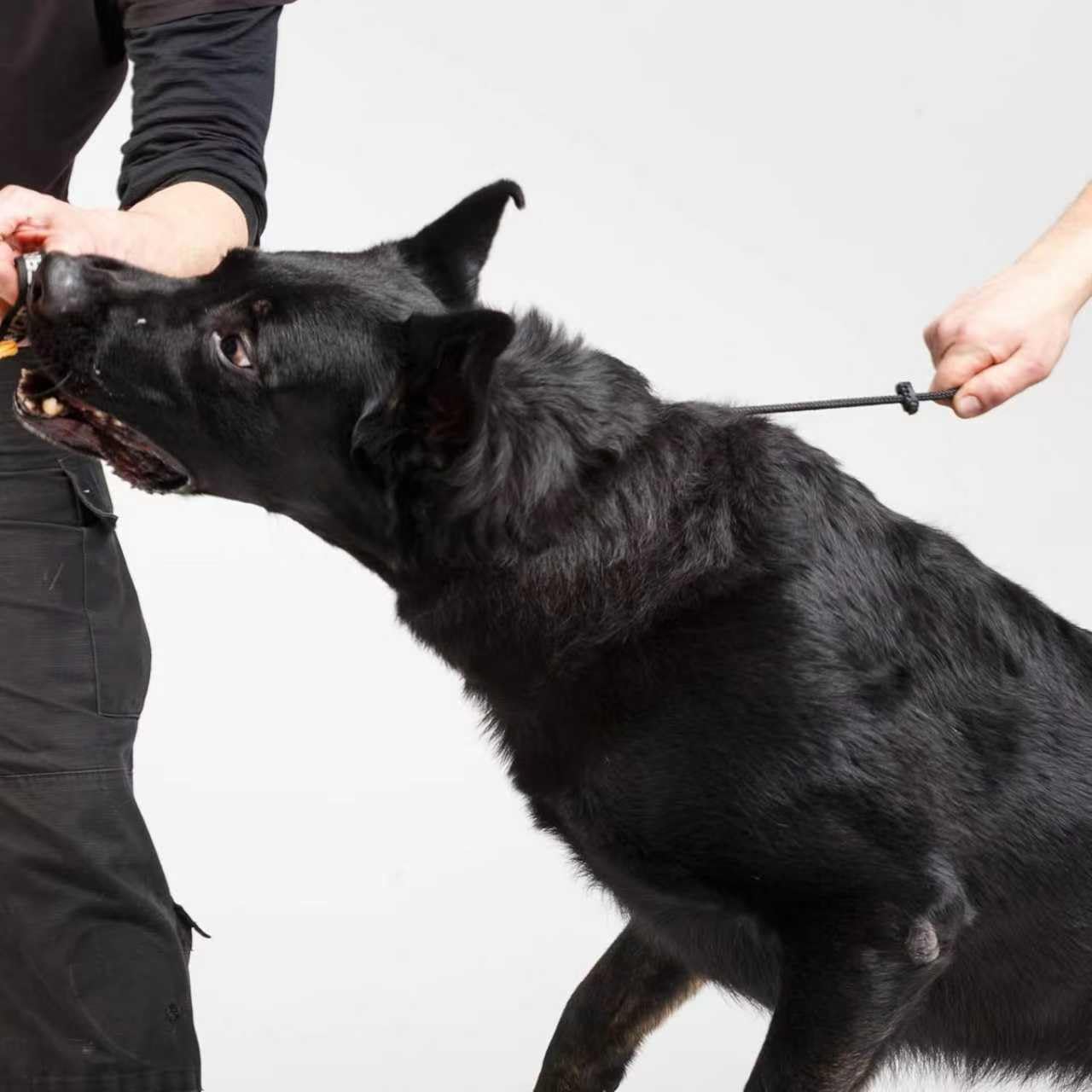 1 pcs Dog Collar Slip Collars for Dogs Training Collars for Dog Training Collar Round Nylon Rope Collars P-Collar No Pull Dog Chain for Small Medium Dogs (M, Black)