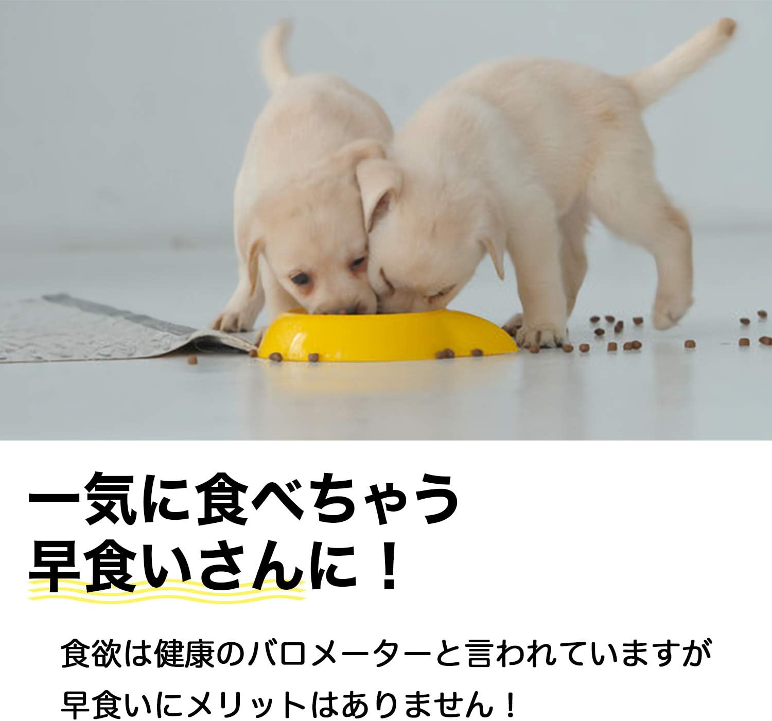 Amazon M Tivance 早食い防止で健康管理 ペット フードボウル ゆっくり食べれる早食い防止専用食器 肉球タイプ 滑り止め付 猫 小型犬 中型犬 向き 14cm 上口径 Mサイズ ピンク ブルー パープル イエロー 早食い防止ペット フードボウル滑り止め付m14cm ブルー M