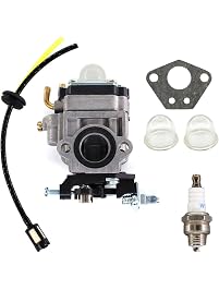 Carburatore Pro Chaser Per Coltivatore Thunder Bay Earth Coclea Y43 – 430025