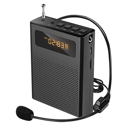 portable amplifier with mic