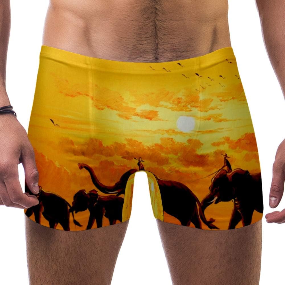 Generic Calzones Calzoncillos De Elefante Para Hombre, Ropa