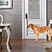 Notable Dog Doorbells Premium Quality Doggie Doorbell - Puppy Door Bell - Doggy DoorBells, Ideal for Puppies Potty Training, Housetraining, Housebreaking, Adjustable Length 1.4 Inch, with Dog Whistle