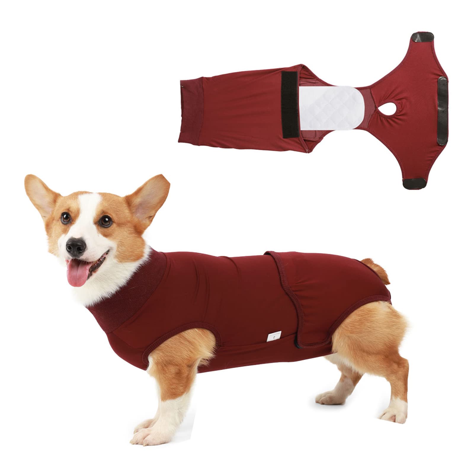 Blue Dream Island Dog Recovery Suit for Dogs Cats After Surgery, Professional Pet Recovery Shirt Abdominal Wounds Bandages Substitute E-Collar & Cone Dog Onesies (S-Red)