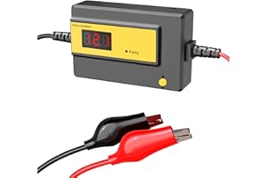 WILGTBTER Battery Desulfator，Battery Maintainer for Cars, Trucks, Motorcycles, ATV, Boats, RV Battery,Auto-Setting (72V)