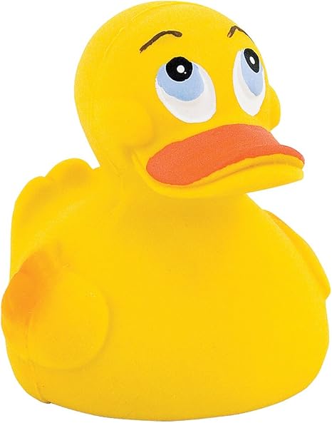 the original rubber duck